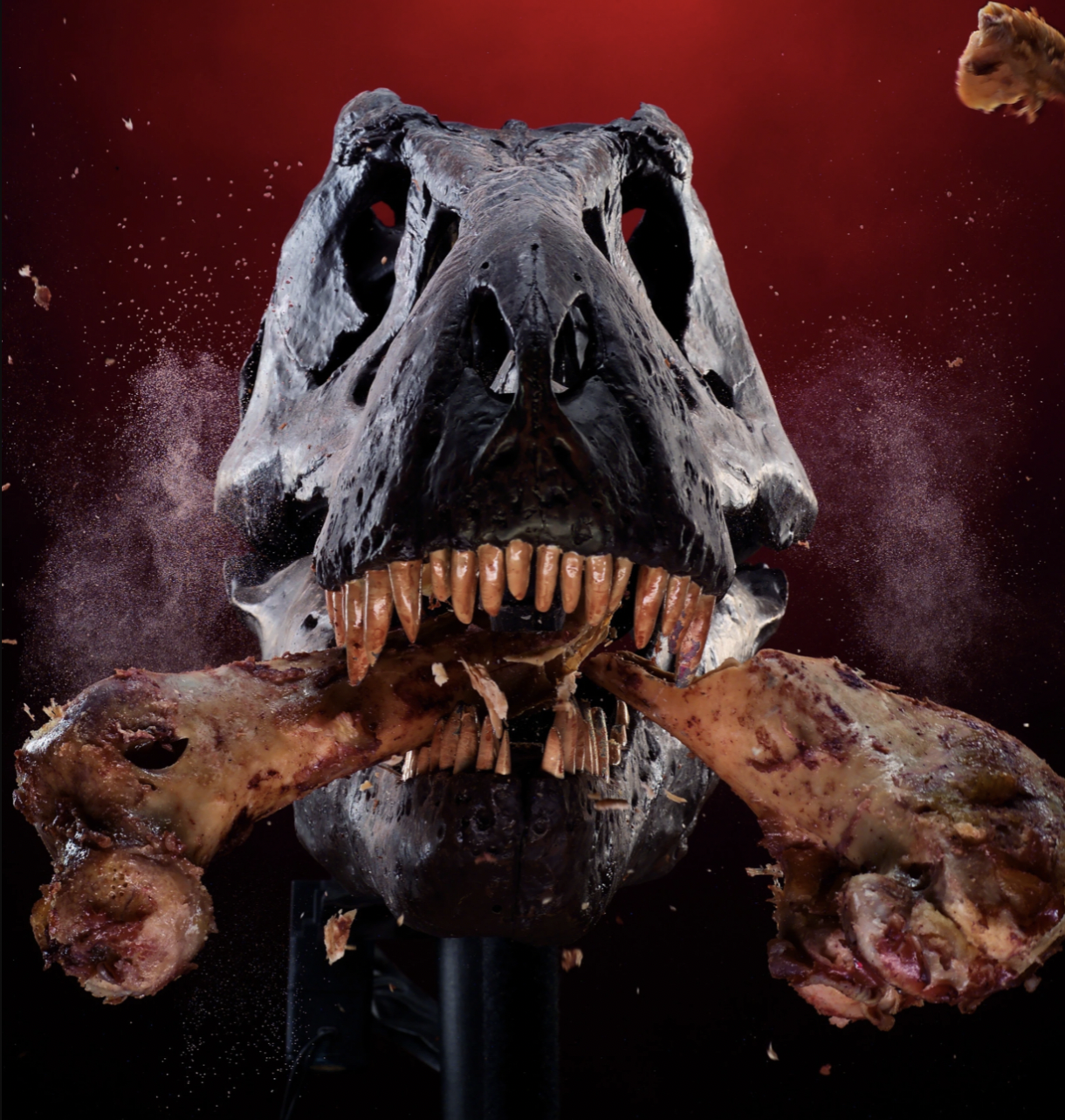 Conan O'Brien, What's your Favorite Dinosaur? — Dinosaurs Will